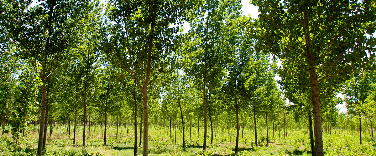 �ӱ�mg����ͻ�Ʒ��ز������������޹�˾