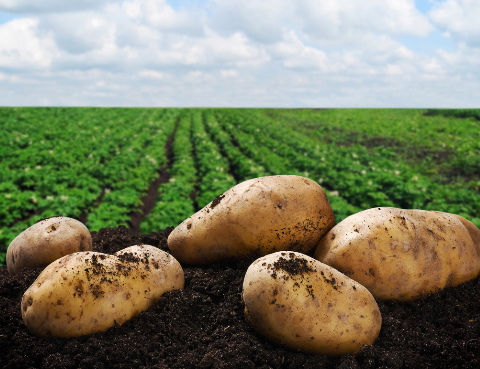 �޹����������������չ�̣���...