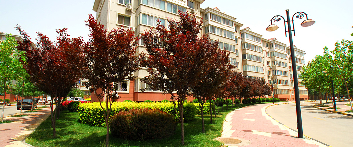 河北mg冰球突破房地产开发集团有限公司