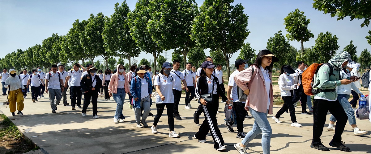 冰球突破-冰球电游豪华版_MG冰球游戏